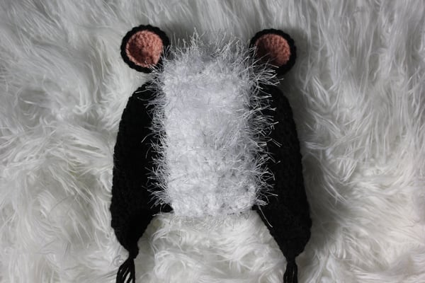 Image of Little Skunk