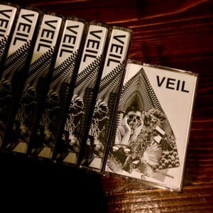 Image of VEIL Demo