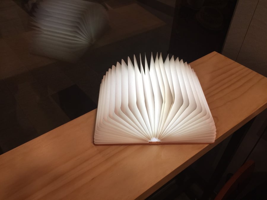 Image of LED Book Lamp