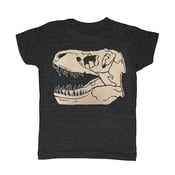 Image of KIDS - Trex Fossil