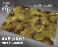 Image 1 of Mixed Ground -- 4x6 plus -- #240
