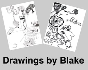 Image of Unique Akudama Artwork