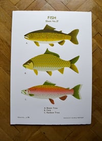Fish School Chart