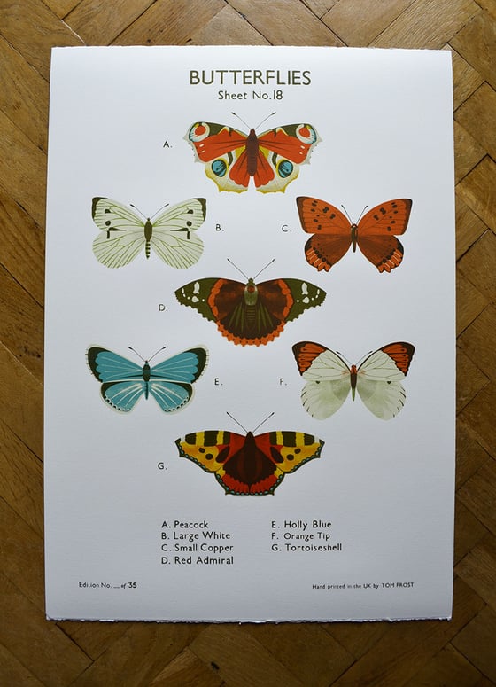 Image of Butterfly School Chart 