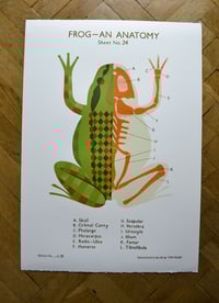 Frog School Chart 