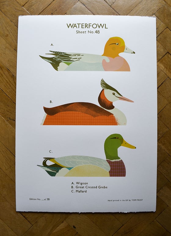 Image of Waterfowl School Chart