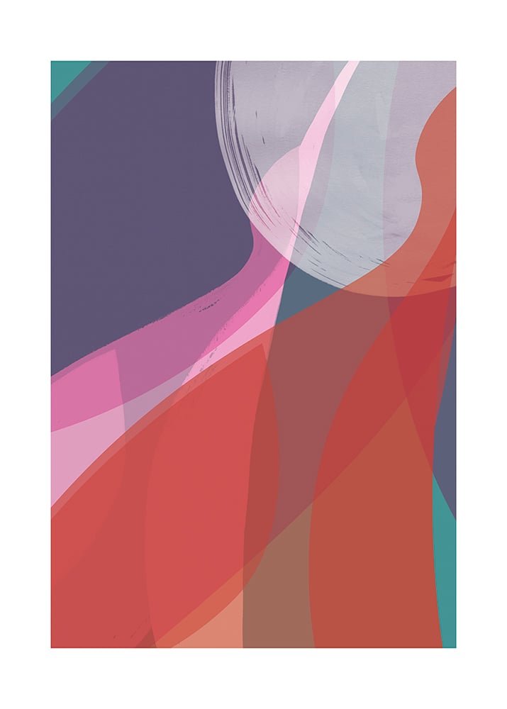 Image of Hummingbird #3