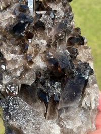 Image 6 of Large Smoky Quartz Points Cluster #2319
