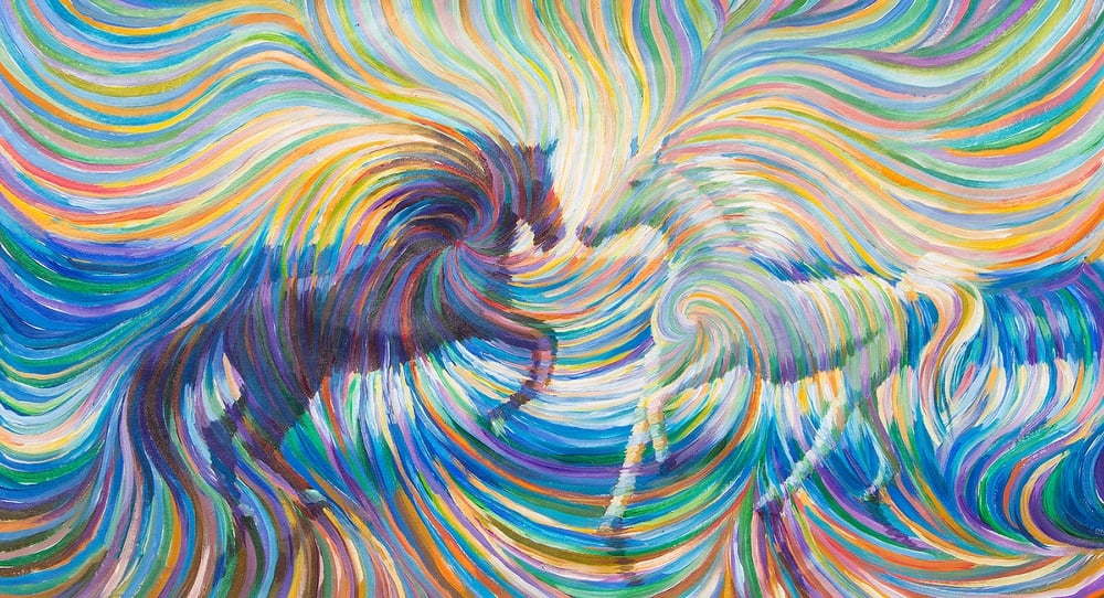 Image of Equus - Yin and Yang