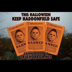 Image of Ordinance 103178 : Keep Haddonfield Safe print (orange variant)