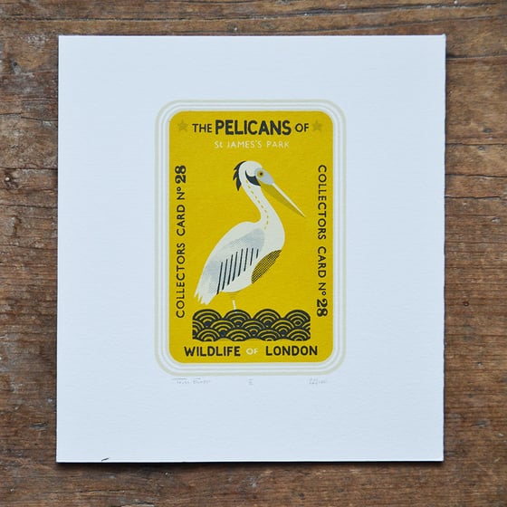 Image of Pelican Collectors Card 