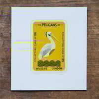Pelican Collectors Card 