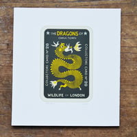 Dragon Collectors Card