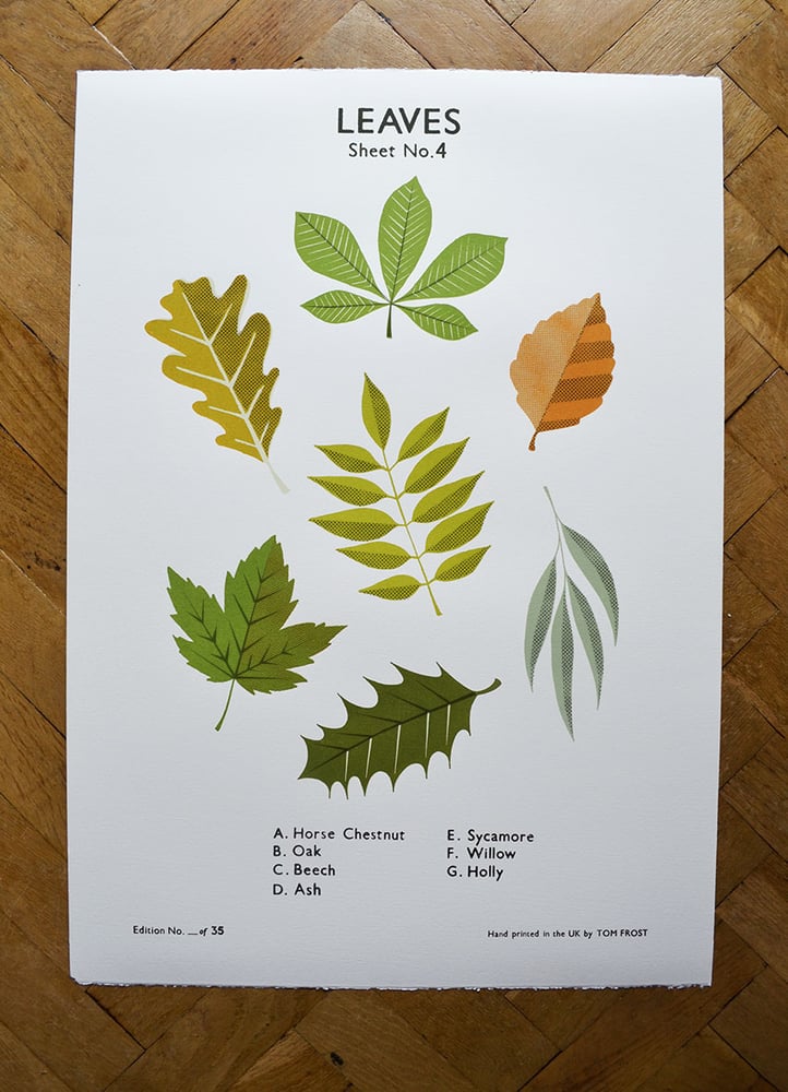 Image of Leaves School Chart