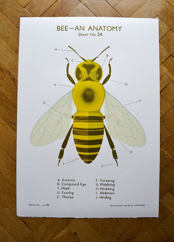 Image of Bee School Chart
