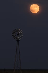 Image of Comanche Moon 