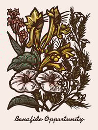 Bonafide Opportunity