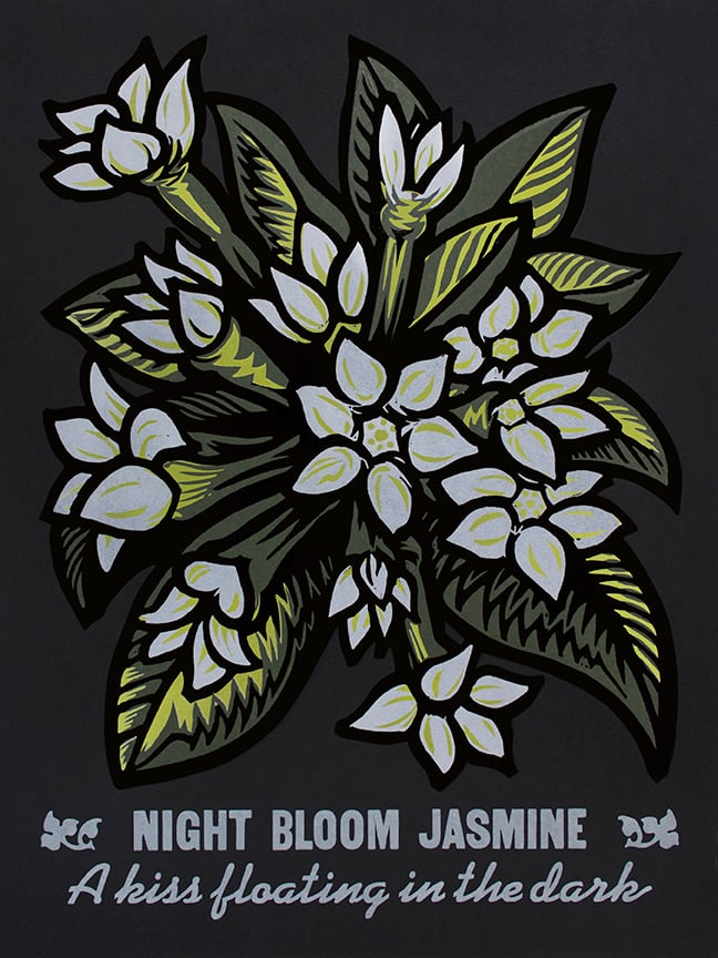Image of Night Bloom Jasmine