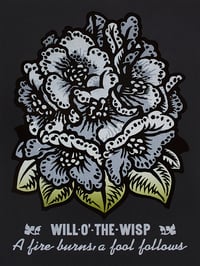 Will O Wisp