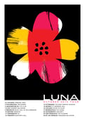 Image of Luna North American Tour Poster  