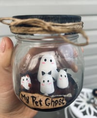 Image 1 of Crazy Cat Ghost Jar
