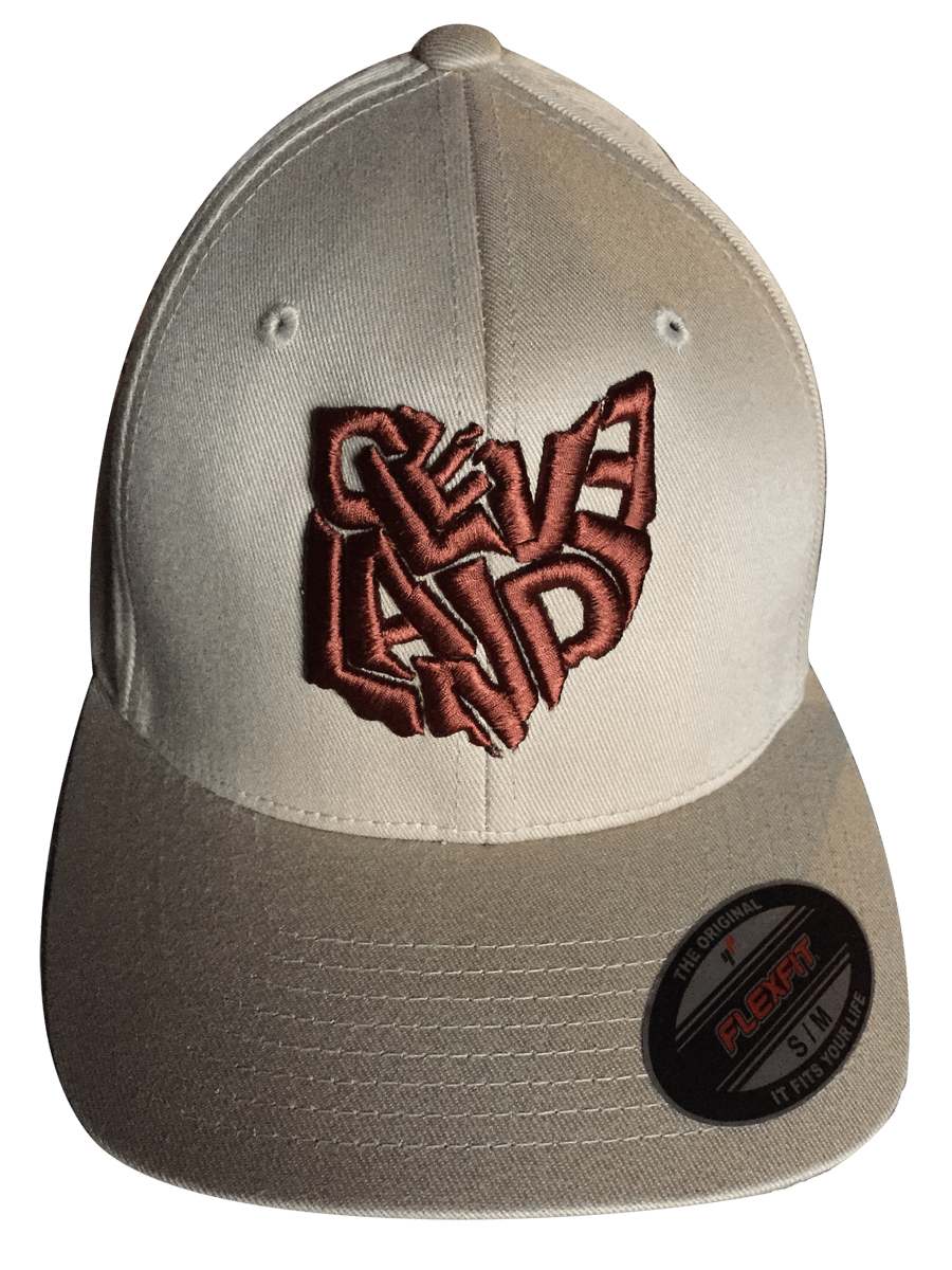 OHIO Flex Fit Baseball Hat