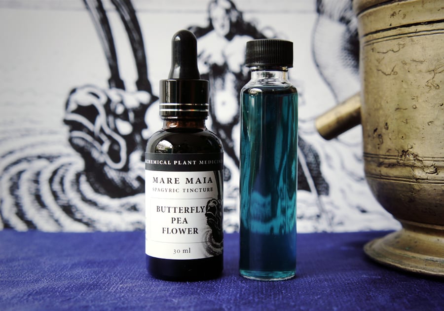Image of BUTTERFLY PEA FLOWER spagyric tincture - alchemically enhanced plant extraction