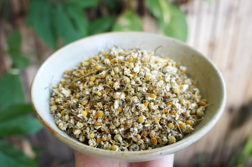 Image of GERMAN (or WILD) CHAMOMILE spagyric tincture - alchemically enhanced plant extraction
