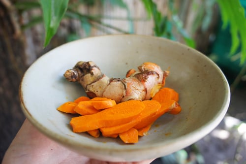 Image of TURMERIC spagyric tincture - alchemically enhanced plant extraction