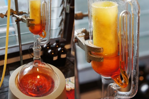 Image of TURMERIC spagyric tincture - alchemically enhanced plant extraction