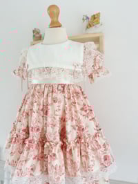 Image 2 of Vintage Rose - 5yrs