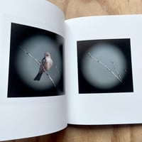 Image 6 of Carol E. Richard’s - Dreams Of Birds