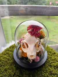 Image 2 of Summer Kitty Cloche 
