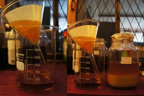 Image of ASHWAGANDHA spagyric tincture - alchemically enhanced plant extraction