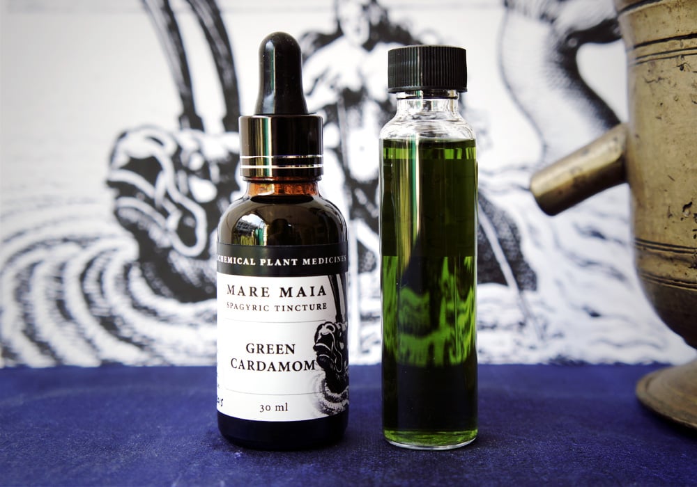 Image of CARDAMOM spagyric tincture - alchemically enhanced plant extraction