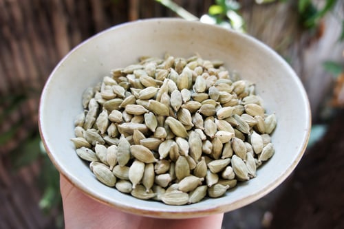 Image of CARDAMOM spagyric tincture - alchemically enhanced plant extraction