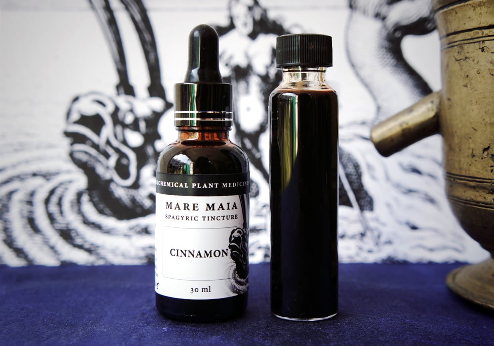 Image of CINNAMON spagyric tincture - alchemically enhanced plant extraction