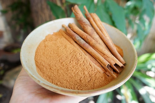 Image of CINNAMON spagyric tincture - alchemically enhanced plant extraction
