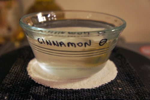 Image of CINNAMON spagyric tincture - alchemically enhanced plant extraction