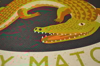 Image 2 of Snap Snap Matches