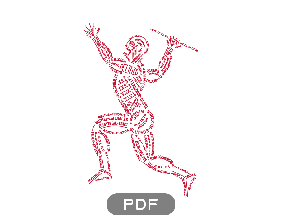 Image of Muscular Typogram - PDF
