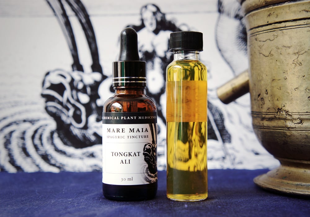 Image of TONGKAT ALI spagyric tincture - alchemically enhanced plant extraction