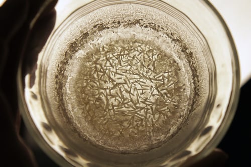 Image of TONGKAT ALI spagyric tincture - alchemically enhanced plant extraction