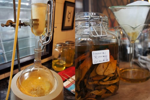 Image of TONGKAT ALI spagyric tincture - alchemically enhanced plant extraction