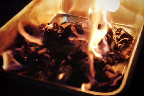 Image of TONGKAT ALI spagyric tincture - alchemically enhanced plant extraction