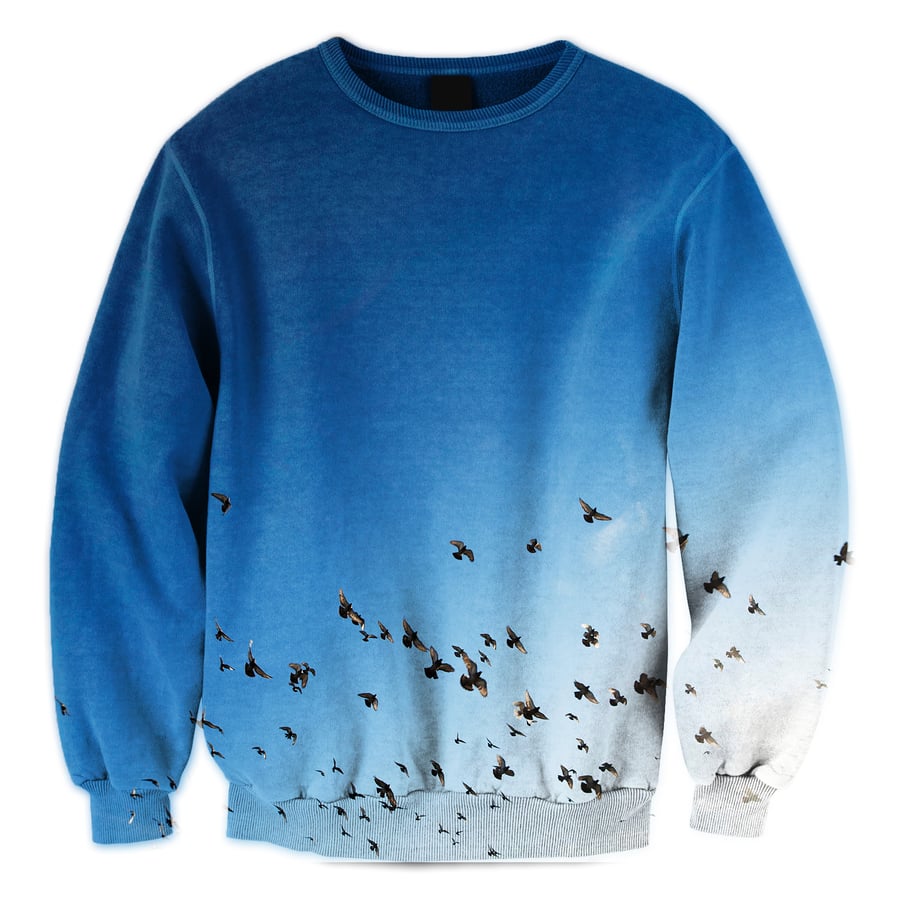 Image of Birds Eye View Crewneck