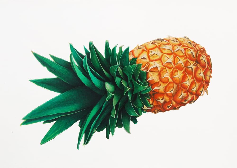 Image of Pineapple Print