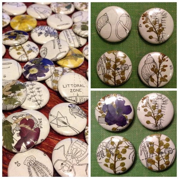 Image of Science + Nature  Flower Buttons 