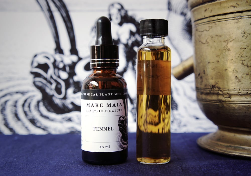Image of FENNEL spagyric tincture - alchemically enhanced plant extraction