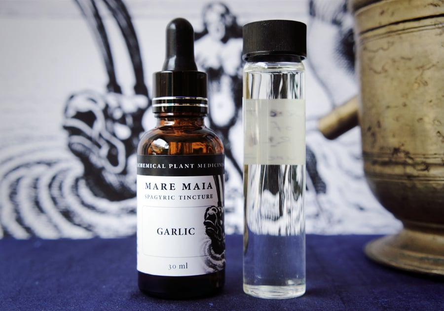 Image of GARLIC spagyric tincture - alchemically enhanced plant extraction